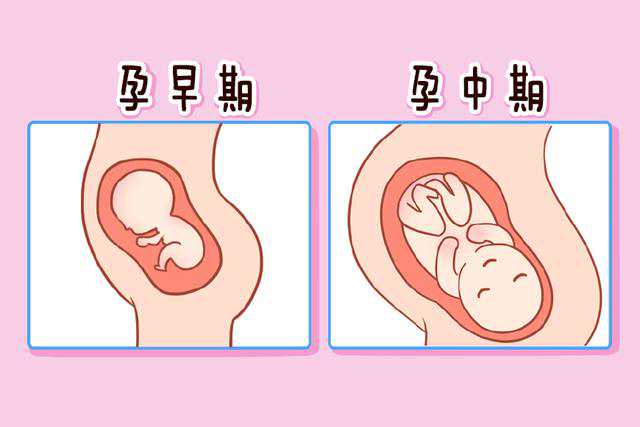 孕中期B超检查中，医生询问您是第几胎，这背隐藏着什么意义？