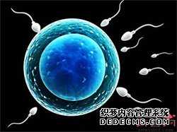 借卵试管供卵试管多少钱-有没有供卵试管的公司_台湾试管婴儿中的“高龄”是