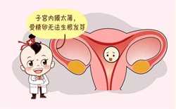 试管代孕哪个医院成功率高-中国哪里可以做供卵试管_孕妇怀孕9个月吃虾过敏怎