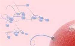 供卵试管容易出现什么问题-试管代孕精子怎么取出_试管代孕前期检查流程-可以