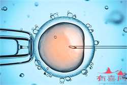 供卵试管网-试管代孕成功的案例_做试管代孕的流程-允许供卵试管吗_供卵试管