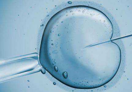 四川供卵辅助生殖，四川省2022年最新供卵试管助孕医院排名-内附四川供卵现状